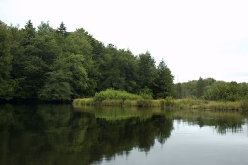 Fotografia de David Bru - Galeria Fotografica: Moose River - Foto: 