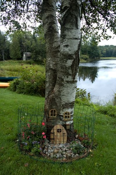 Fotografia de David Bru - Galeria Fotografica: Moose River - Foto: 