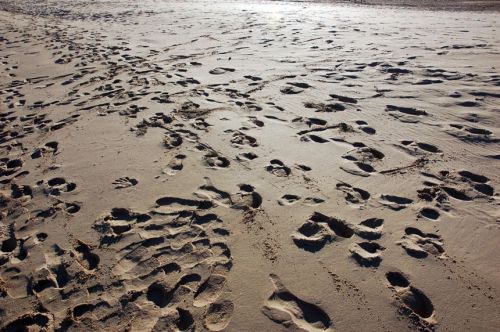 Fotografia de David Bru - Galeria Fotografica: Variations of Static II - Foto: 