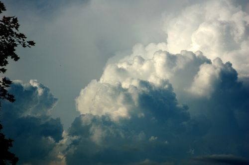 Fotografia de David Bru - Galeria Fotografica: Variations of Static II - Foto: 