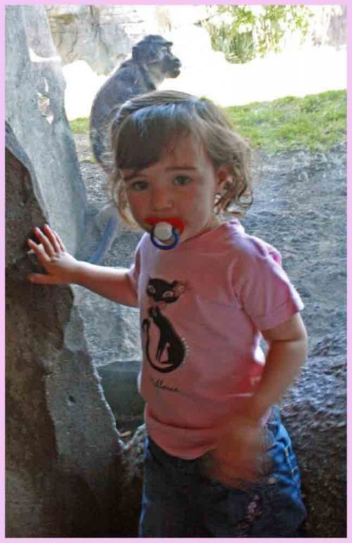 Fotografia de andres martinez - Galeria Fotografica: bioparc valencia - Foto: 