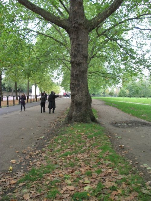 Fotografia de Coraline - Galeria Fotografica: Londres - Foto: Green Park