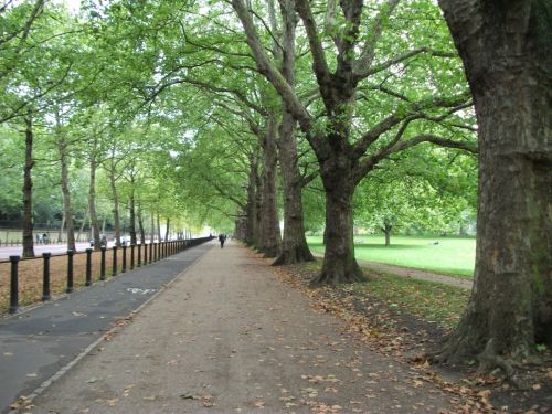 Fotografia de Coraline - Galeria Fotografica: Londres - Foto: Green Park