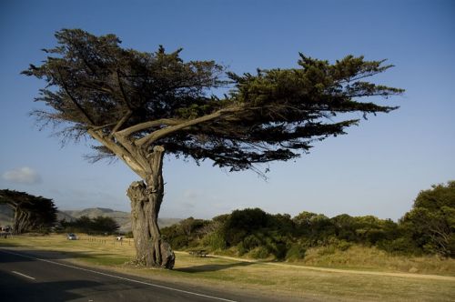 Fotografia de Alfonso Duran  Fotografa - Galeria Fotografica: AUSTRALIA - Foto: 