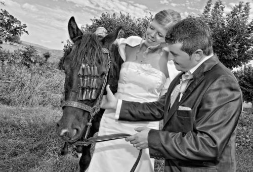 Fotografia de Miguel Angel Fotografos - Galeria Fotografica: Fotos bodas - Foto: 