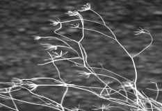 Fotografia de Valcrcel, fotgraf - Galeria Fotografica: Fotos para libros de texto de primaria - Foto: 