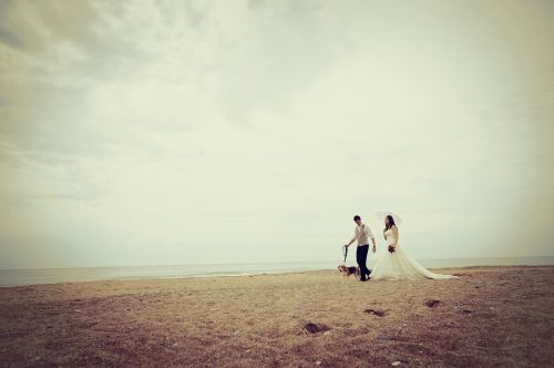 Fotografia de Miguel Angel Fotografos - Galeria Fotografica: Fotos bodas - Foto: 