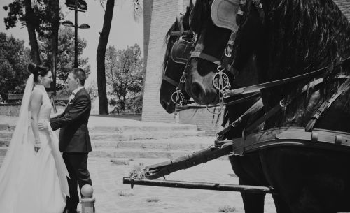 Fotografia de Miguel Angel Fotografos - Galeria Fotografica: Fotos bodas - Foto: 