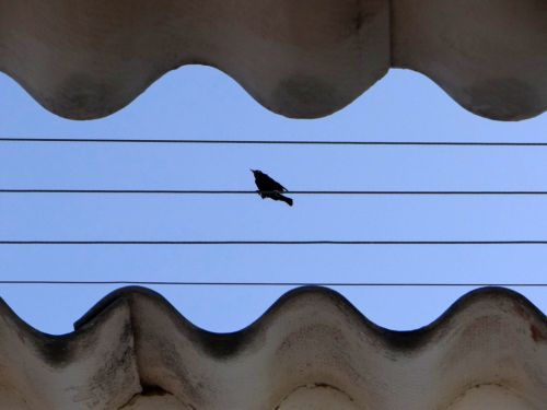 Fotografia de GOVANPRO - Galeria Fotografica: AVENTURALEZA - Foto: Entrelineas