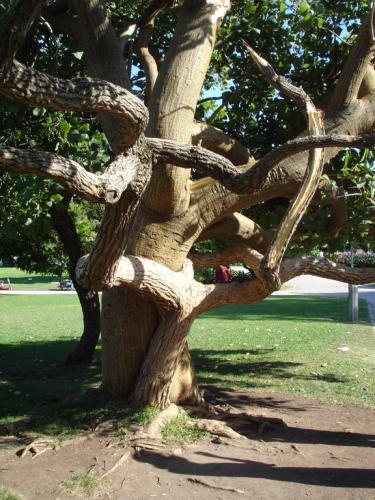 Fotografia de San Pablo - Galeria Fotografica: Realidades - Foto: Abrazo