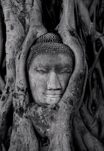 Fotografia de tonisalado - Galeria Fotografica: TAILANDIA - Foto: MIRADA DE PIEDRA