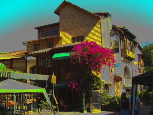 Fotografia de tom - Galeria Fotografica: animales - Foto: plaza mulato gil