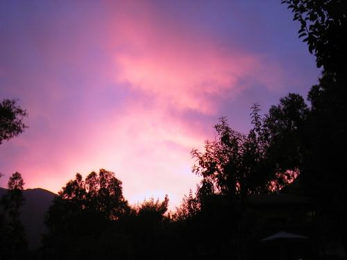 Fotografia de Dario Semelman - Galeria Fotografica: ves lo que yo veo...? - Foto: 