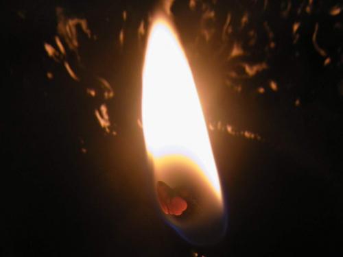 Fotografia de Dario Semelman - Galeria Fotografica: ves lo que yo veo...? - Foto: 