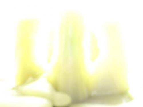 Fotografia de bazook - Galeria Fotografica: BENDITO OCIO - Foto: TACTO EN CINCO