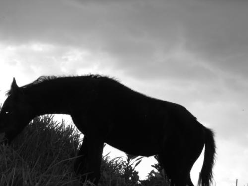 Fotografia de bazook - Galeria Fotografica: BENDITO OCIO - Foto: HUECO EN EL CIELO