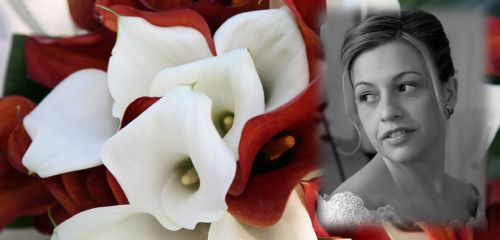 Fotografia de D Whisky  fotografa de boda - Galeria Fotografica: Bodas - Foto: 