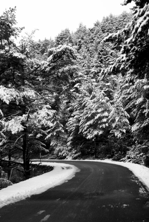 Fotografia de TANIA MARTI - Galeria Fotografica: Boltaa - Foto: 