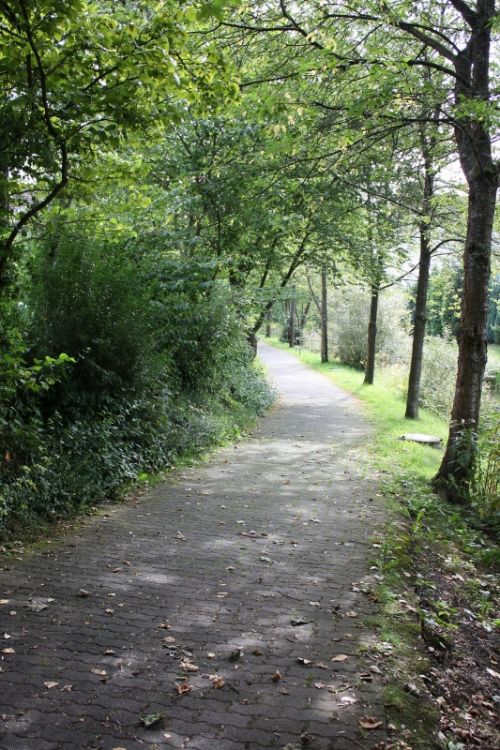 Fotografia de Victor R. Hervias - Galeria Fotografica: Viajando - Foto: 