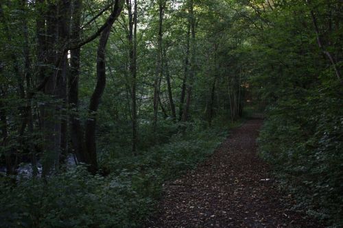 Fotografia de Victor R. Hervias - Galeria Fotografica: Viajando - Foto: 