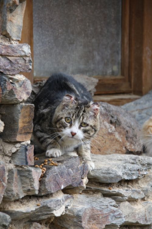 Fotografia de Victor R. Hervias - Galeria Fotografica: Viajando - Foto: 