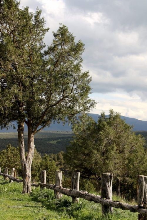 Fotografia de Victor R. Hervias - Galeria Fotografica: Viajando - Foto: 