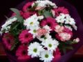 Fotos de DCDaniel -  Foto: Flores - Rambla de les Flors 2