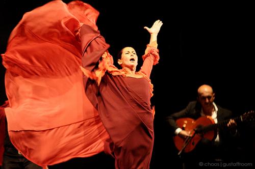 Fotografia de Gustaff Room - Galeria Fotografica: Sara Baras por Choos | Gustaff Room - Foto: El arte							