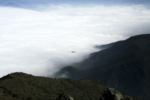 Fotografia de nmf_im_ag_n - Galeria Fotografica: Paisajes - Foto: Stgo. Neblina 00