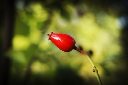 Fotografia de Enrique Micaelo - Galeria Fotografica: Lo que ven mis ojos - Foto: 