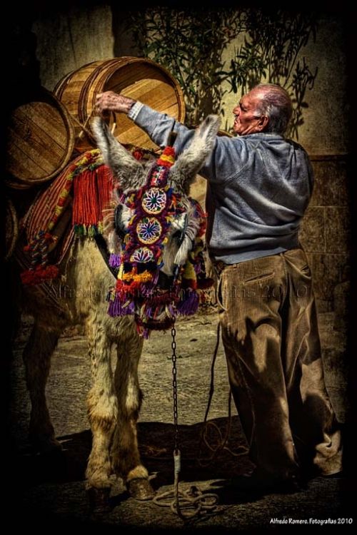 Fotografia de Alfredo Romero Fotografias - Galeria Fotografica: Oficios - Foto: Arriero