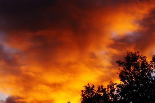 Fotografia de Enrique Micaelo - Galeria Fotografica: Lo que ven mis ojos - Foto: 