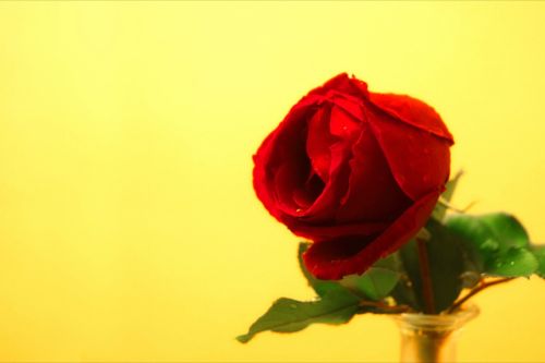 Fotografia de Enrique Micaelo - Galeria Fotografica: Lo que ven mis ojos - Foto: 