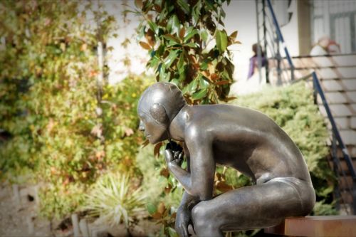 Fotografia de Enrique Micaelo - Galeria Fotografica: Lo que ven mis ojos - Foto: 