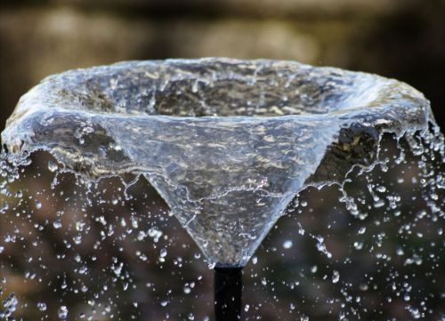 Fotografia de Enrique Micaelo - Galeria Fotografica: Lo que ven mis ojos - Foto: 