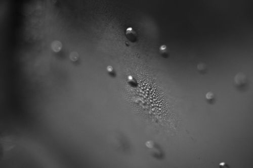 Fotografia de Futil Toon - Galeria Fotografica: Fantasa Dimensional - Foto: Siguiendo la lluvia