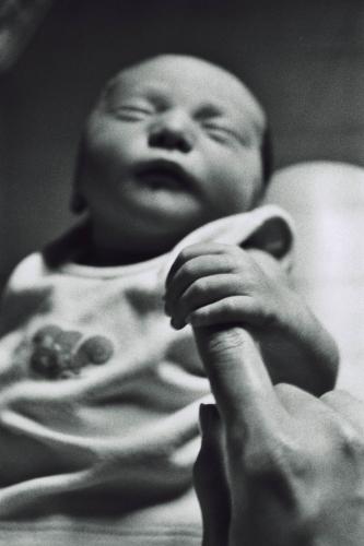 Fotografia de Alejandro - Galeria Fotografica: Mi sobrino - Foto: Sus proporciones...