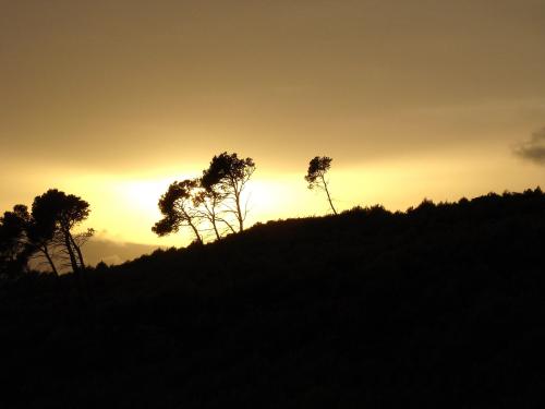 Fotografia de Antonio Lorente - Galeria Fotografica: mis fotos - Foto: sombras