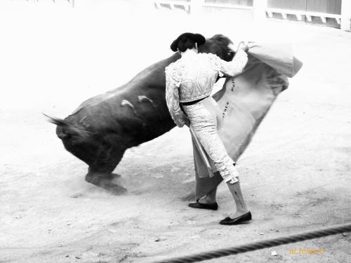 Fotografia de solofotografiados - Galeria Fotografica: varios - Foto: 