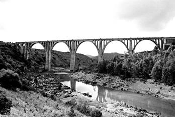 Fotografia de jmbmweb - Galeria Fotografica: jmbmweb.tk - Foto: cinco