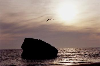 Fotografia de jmbmweb - Galeria Fotografica: jmbmweb.tk - Foto: momento