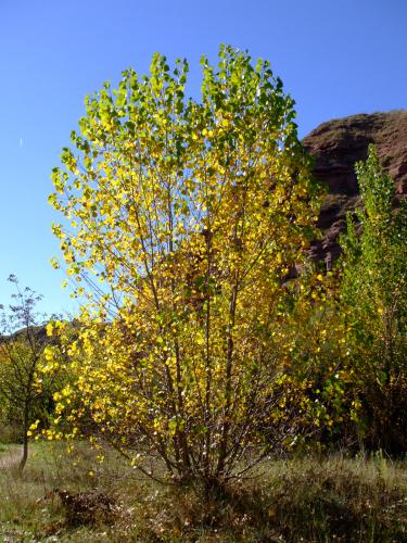 Fotografia de Ivn - Galeria Fotografica: Naturaleza - Foto: 