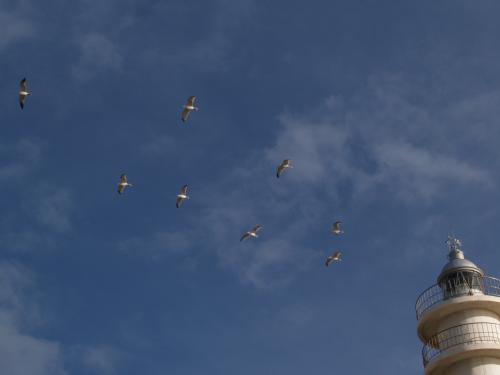 Fotografia de piraso - Galeria Fotografica: Vision, mi vision. - Foto: 