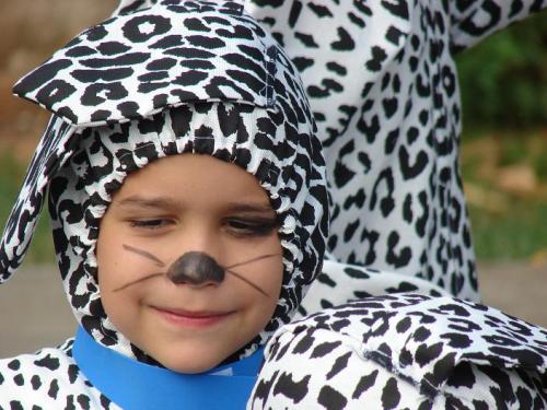 Fotografia de IMAGEN DIGITAL - Galeria Fotografica: DULSURA - Foto: DALMATA