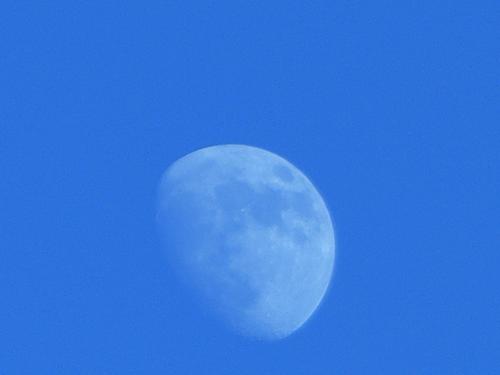 Fotografia de n/a - Galeria Fotografica: Naturaleza - Foto: 								