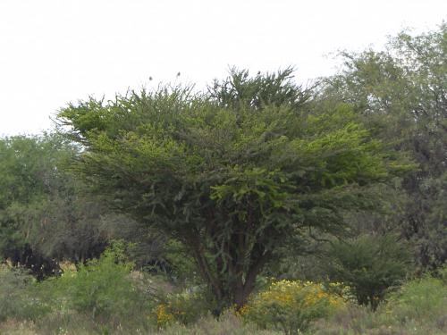 Fotografia de n/a - Galeria Fotografica: Naturaleza - Foto: 								