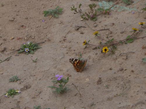 Fotografia de n/a - Galeria Fotografica: Naturaleza - Foto: 								