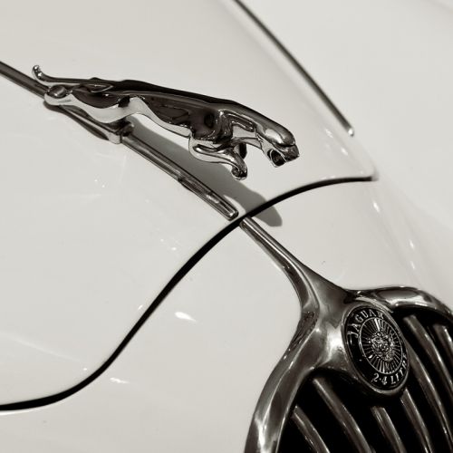 Fotografia de Darco TT - Galeria Fotografica: Museo de Historia de la Automocin - Foto: Jaguar