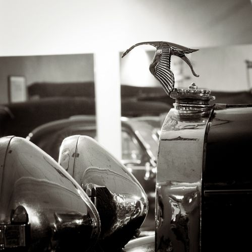 Fotografia de Darco TT - Galeria Fotografica: Museo de Historia de la Automocin - Foto: The stork of the Hispano-Suiza