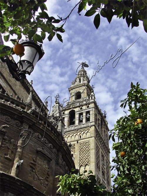 Fotografia de jorgesuarez - Galeria Fotografica: Travel - Foto: Sevilla